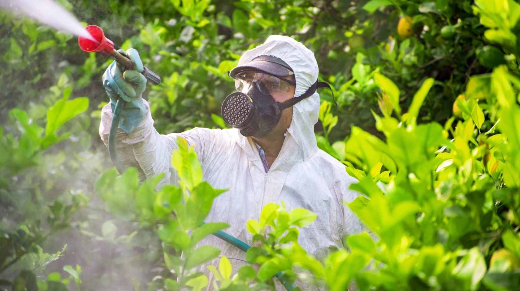 A man in PPE sprays chemicals while surrounded by greenery