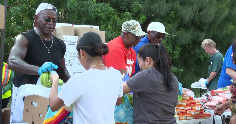 Ruskin health fair provides over 10,000 pounds of free food to residents