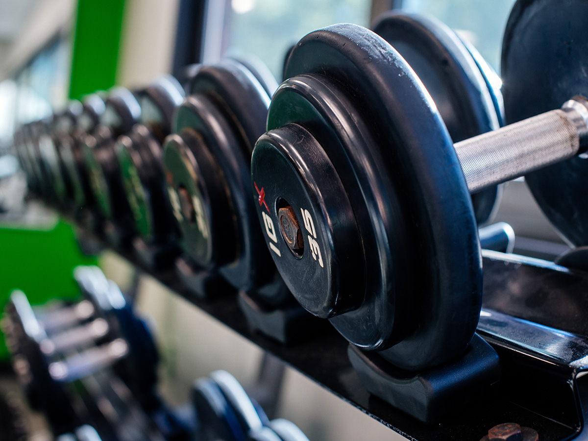 Black weights on weight rack.