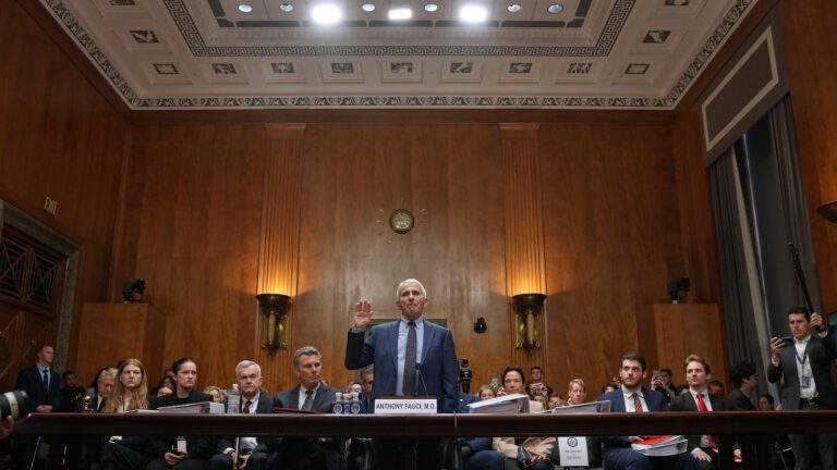 Ex-Fauci adviser pleads guilty to plotting to conceal COVID