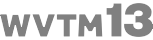 WVTM branding logo