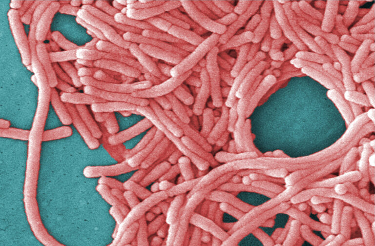 City Council to review Legionnaires' response as NYC rolls out new measures