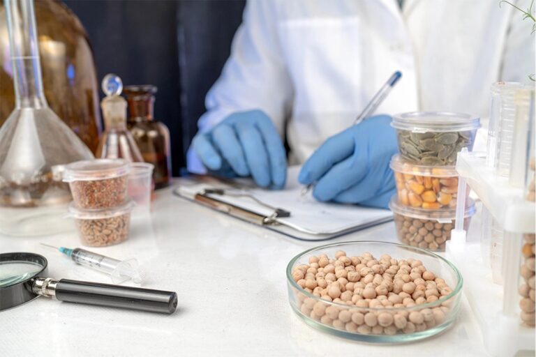 Ardent Mills: Rising protein and fiber demand challenges formulators to balance nutrition and taste