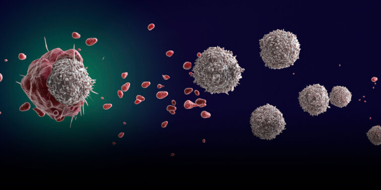 Eating Less Reduced Breast Tumors in Mice, Chinese Study Finds Eating Less Reduced Breast Tumors in Mice, Chinese Study Finds