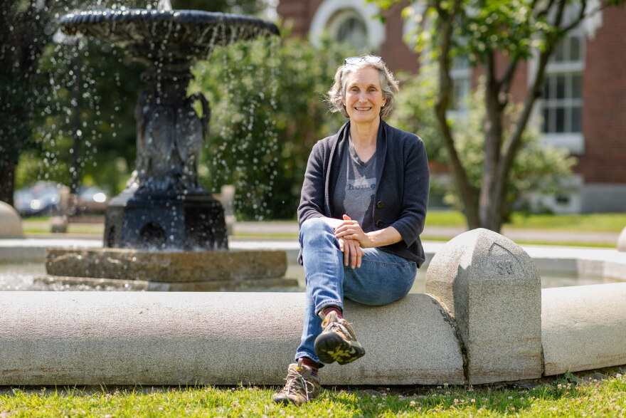 Vermont state Rep. Rebecca Holcombe, a former Vermont secretary of education and onetime candidate for governor, is a co-founder of the Greenway Institute. "We're ready to start saying, 'OK, if not this, then what?'" she says.