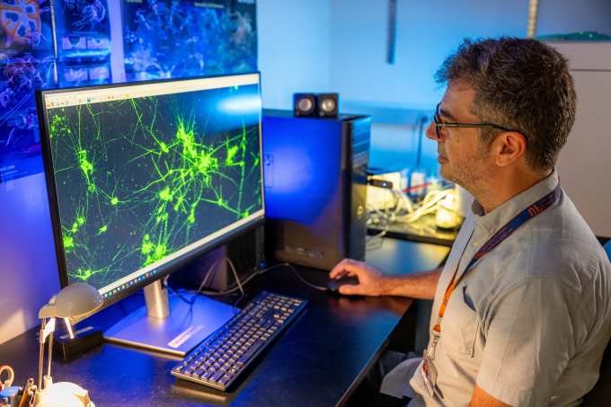 researcher looking at a scan of a brain cells that look like a green explosion on the computer screen