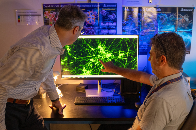 researchers looking at a scan of a brain cells that look like a green explosion on the computer screen