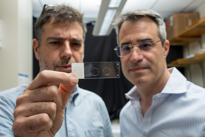 researchers looking at a slide