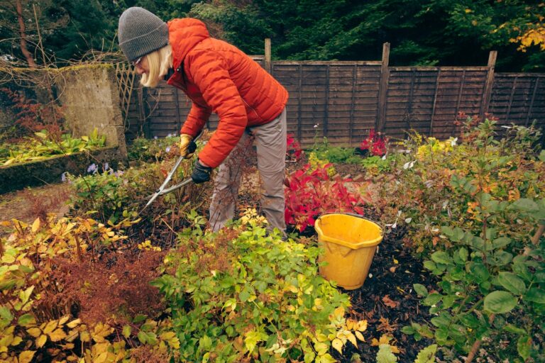 Autumn gardening tips to protect your peace as the pace of life picks up Autumn gardening tips to protect your peace as the pace of life picks up