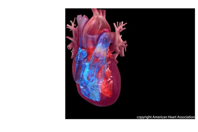 Mental health conditions after trauma linked to higher cardiovascular risk