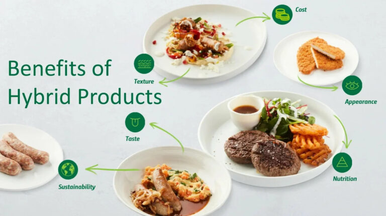 Meeting Nutrition and Sustainability Needs With Hybrid Protein Products