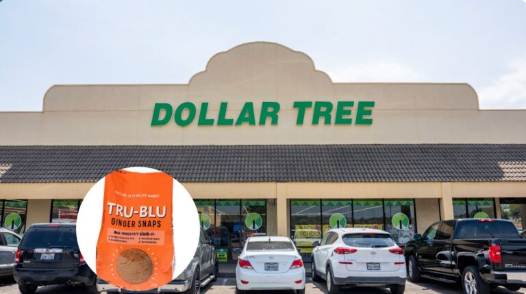 The 6 Best Cookies at Dollar Tree for Autumn Snacking Bliss