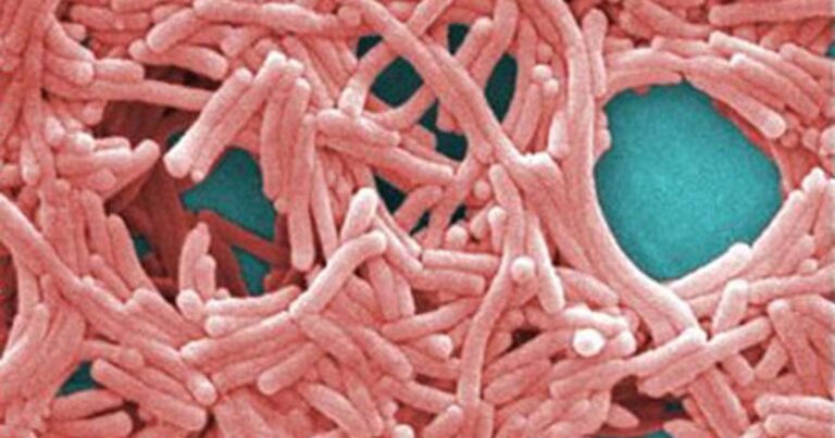 NYC unveils new Legionnaires' disease strategy after 11 died in Upper East Side outbreak